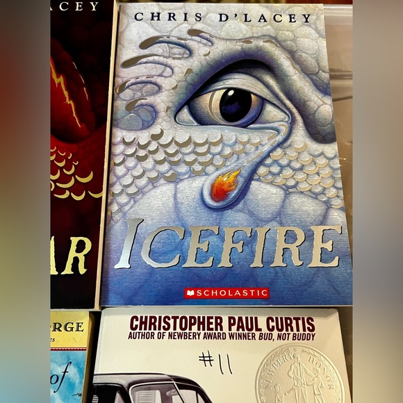 Fiction Book Lot of 6 Ice Fire Fire Star Chapter Like New Juvenile School - Picture 5 of 9
